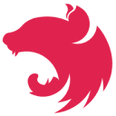 Nest JS